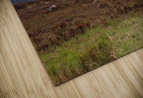 Glencoe Valley Jonathan Copenhaver puzzle
