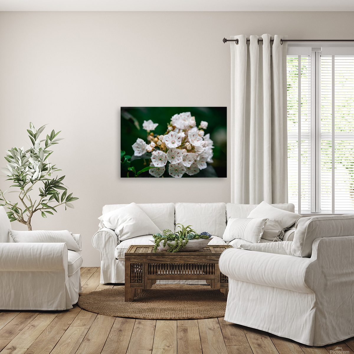 White Flowers Reproduction