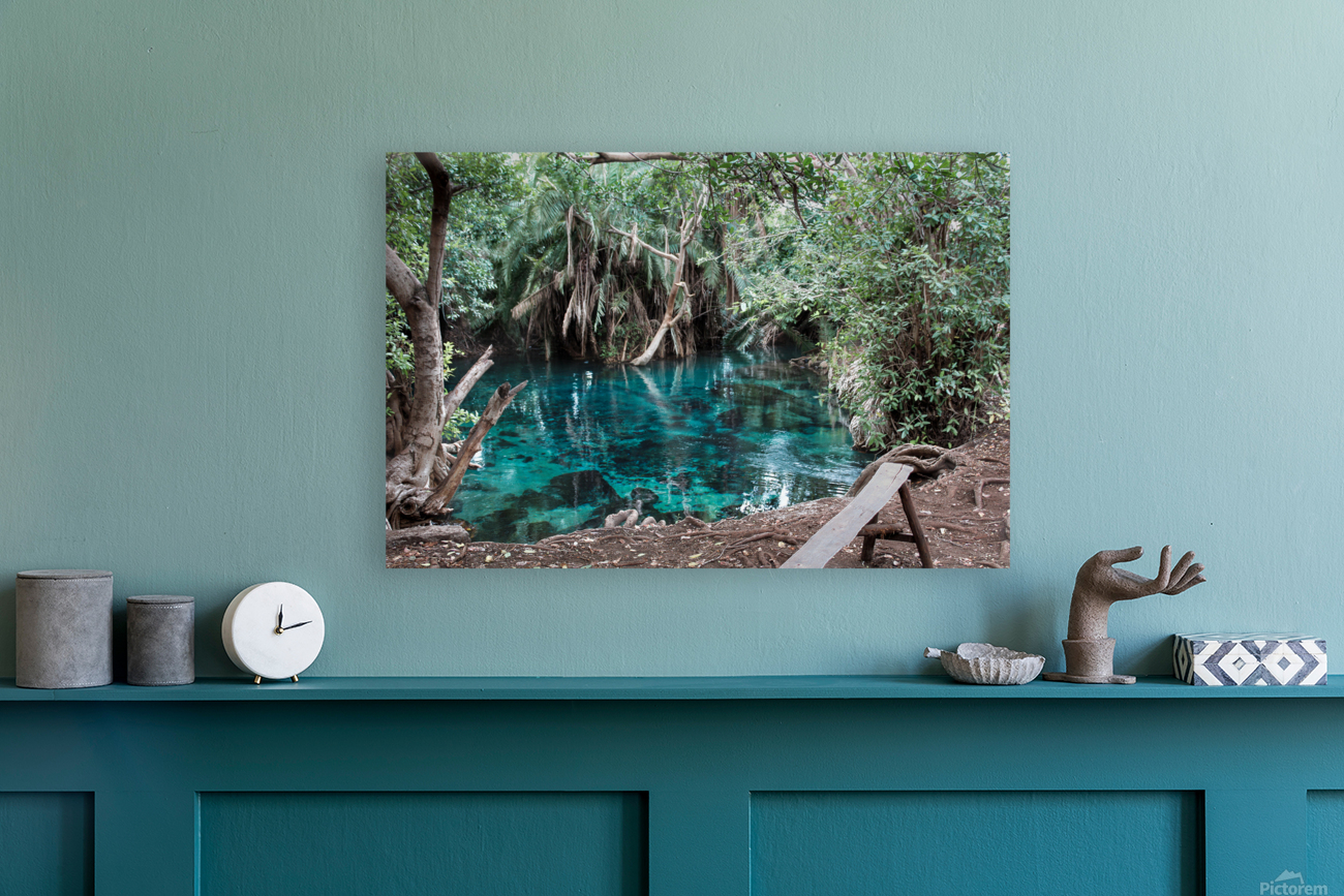 Tanzania Hot Spring Reproduction