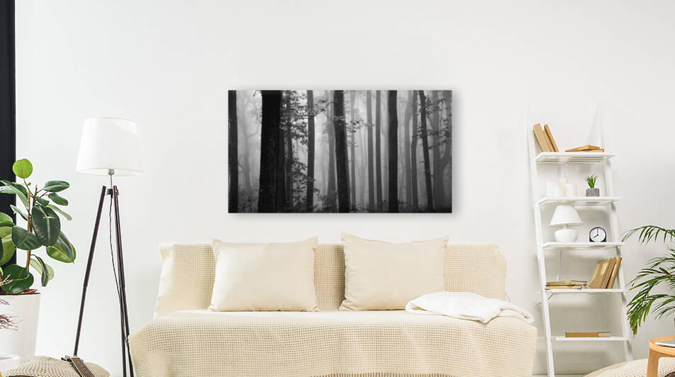 Foggy Woods Reproduction