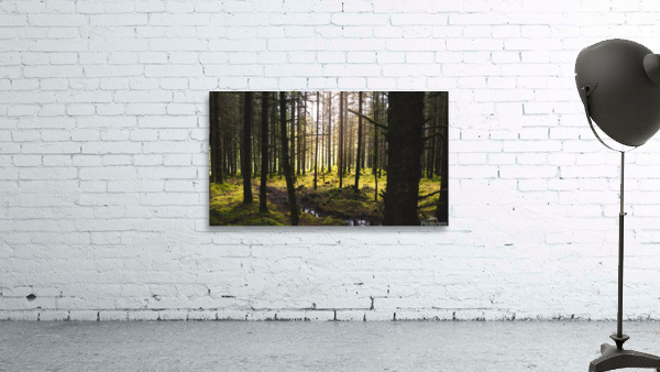 Mossy Forest Wall Preview
