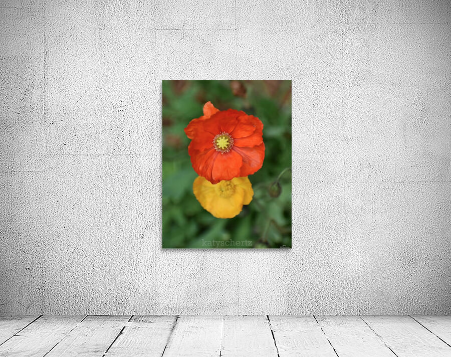 Simple Beauty Wall Preview