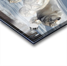 Wolves in the Snow Acrylic print