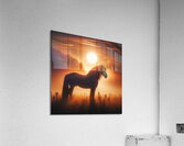 Noble Horse at Sunrise Acrylic Print