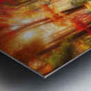 Vibrant Autumn Forest Pathway Metal print