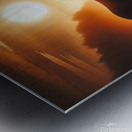 Noble Horse at Sunrise Metal print