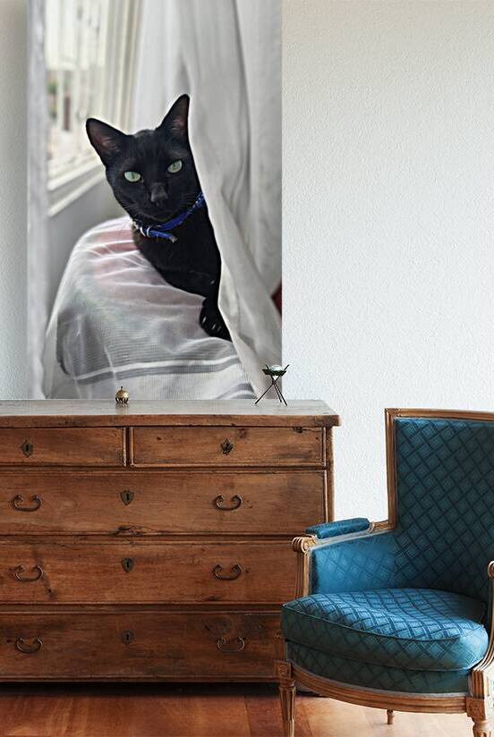 The Emerald Gaze: Subtle Elegance - Black cat portrait with emerald-green eyes emerging from soft white curtains – fine art animal photography wall art. by JOPSAM
