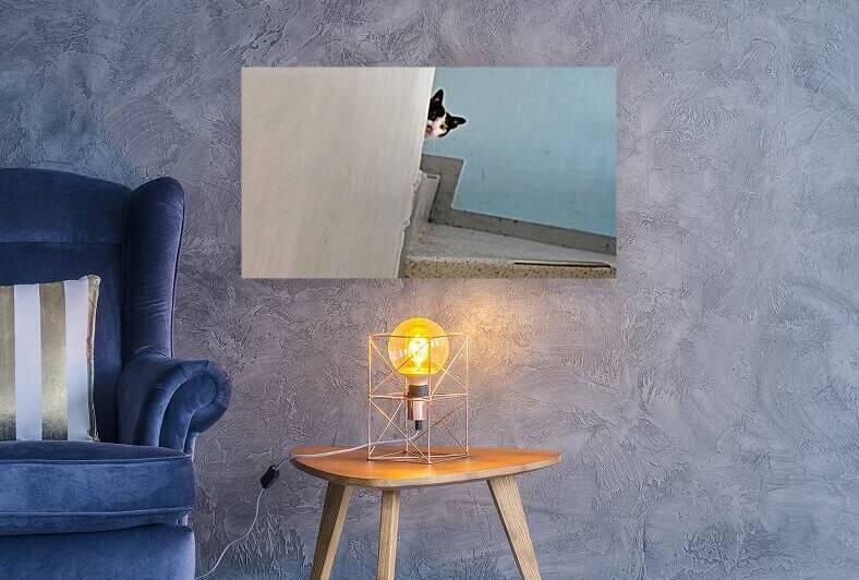 The trapped instant: An Instant of Pure Curiosity - Calico cat portrait with emerald eyes framed by a minimalist white staircase – fine art animal photography wall art. by JOPSAM
