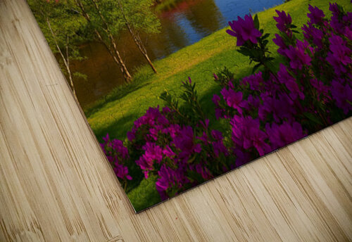 Attractive Oasis Digital Treasure puzzle