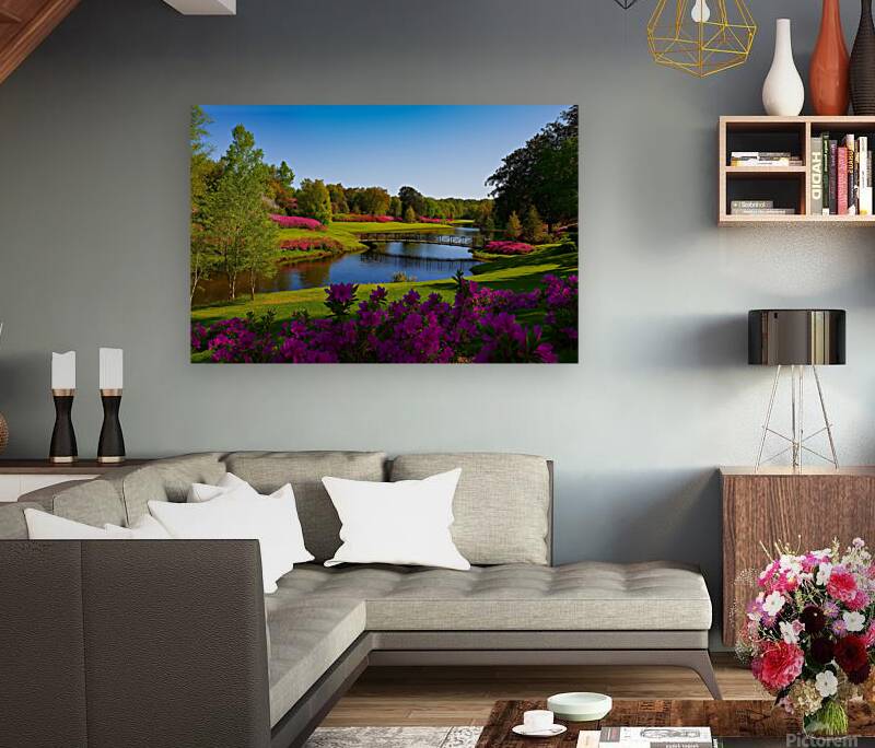 Attractive Oasis Reproduction