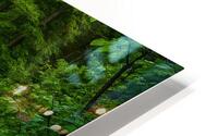 Flowing River Valley HD Metal print