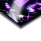 solo leveling Acrylic print