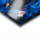 solo leveling Acrylic print