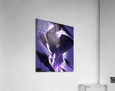 solo leveling Acrylic Print