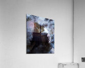 solo leveling Acrylic Print