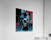 solo leveling Acrylic Print