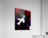 solo leveling Acrylic Print