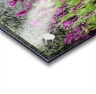 Watering Lavander Acrylic print