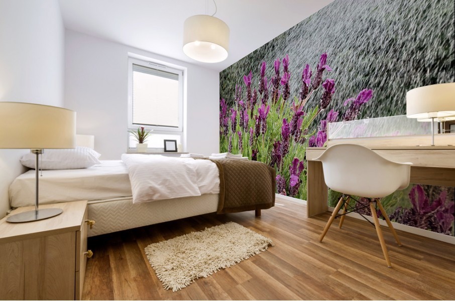 Watering Lavander Mural print