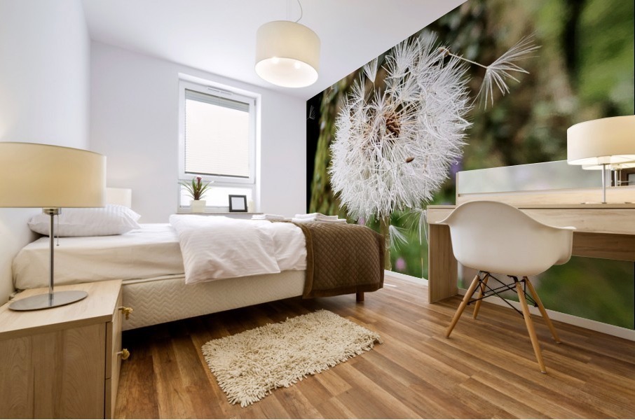 Dandelion  Mural print