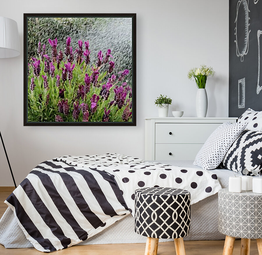 Watering Lavander Reproduction