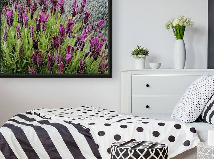 Watering Lavander by AHA digital