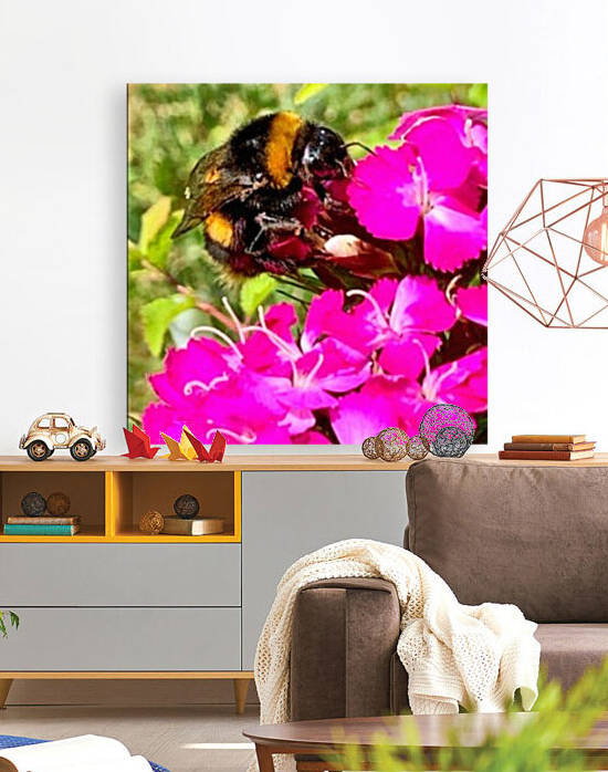 Bumblebee on a flower by AHA digital