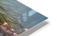 Summer Breeze HD Metal print