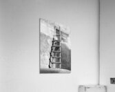 Adobe Ladder B W Acrylic Print