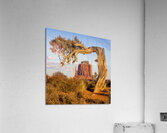 East Mitten View Acrylic Print