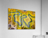 Meandering Stream Acrylic Print