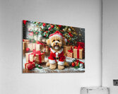 Multipoo Santa 1 Acrylic Print