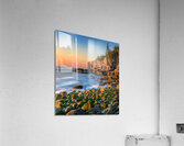 Otter Cliffs No. 1 Acrylic Print