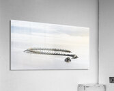 Serpent d’Ocean Acrylic Print