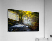 Ender Falls Sunbeams Acrylic Print