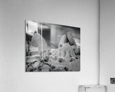 Joshua Tree Desert Rocks Infrared Acrylic Print