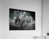 Moonlight on Joshua Tree Infrared Acrylic Print