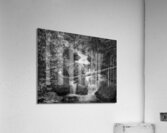 Forest Stream B W 4183b Acrylic Print