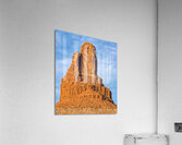 Owl Rock Acrylic Print
