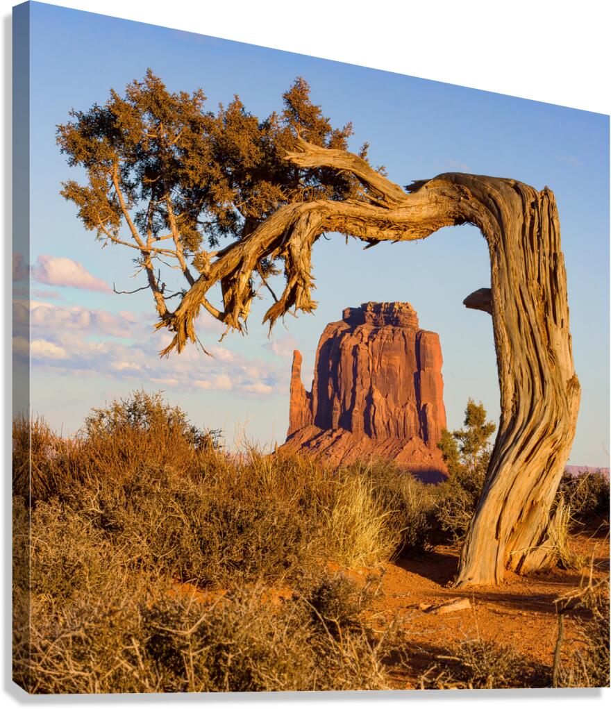 East Mitten View Canvas Print