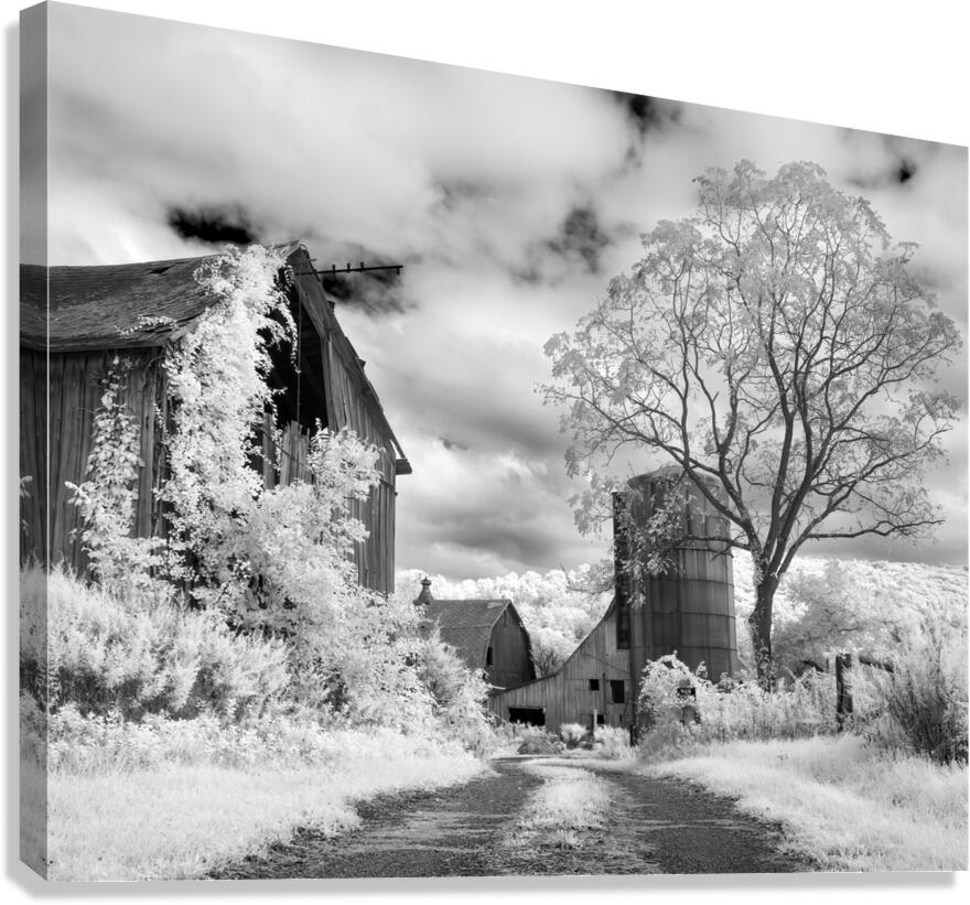 Yetters Farm Infrared Canvas Print