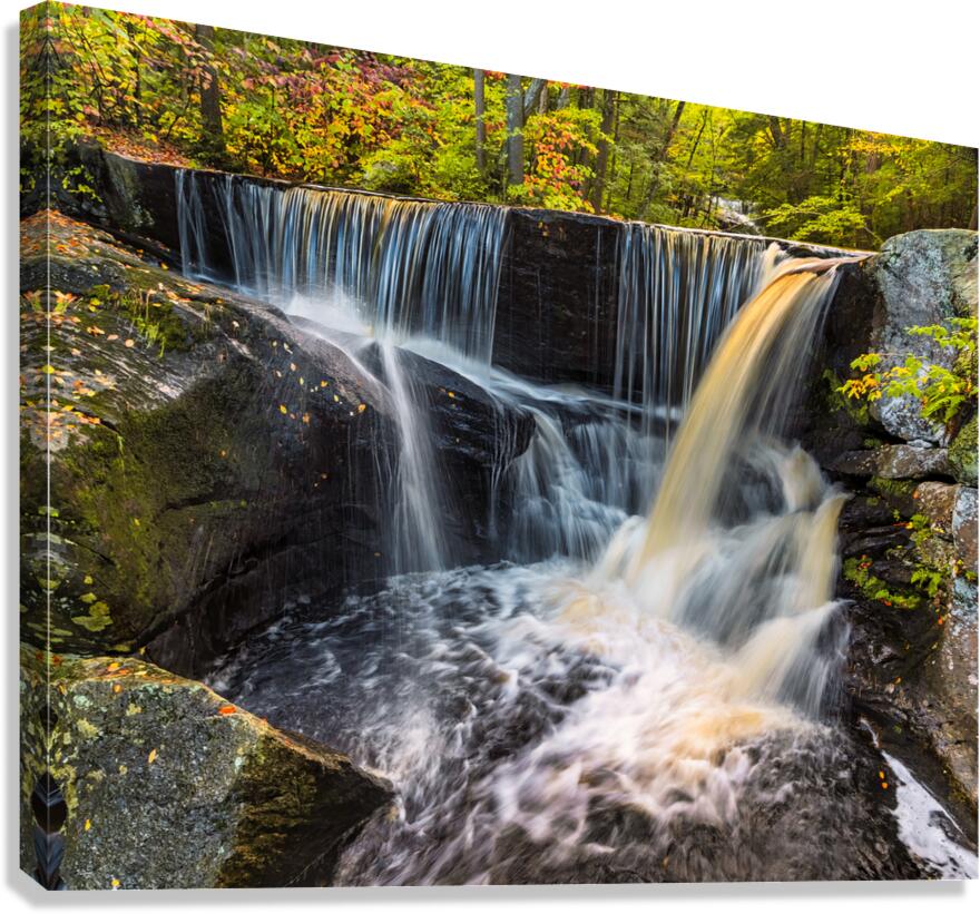 Serene Forest Waterfall Canvas Print