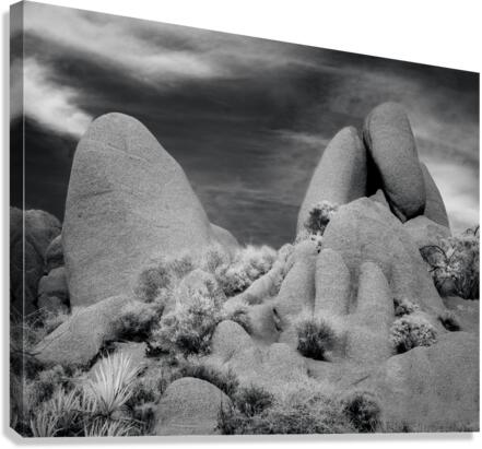 Joshua Tree Desert Rocks Infrared Canvas Print