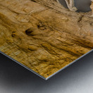 Path to Carlsbad Cavern Metal print