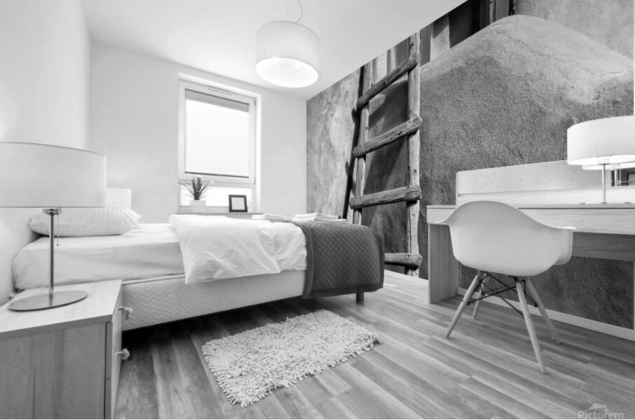 Adobe Ladder B W Mural print
