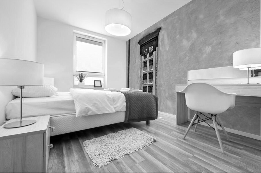 Window and Vigas B W Mural print