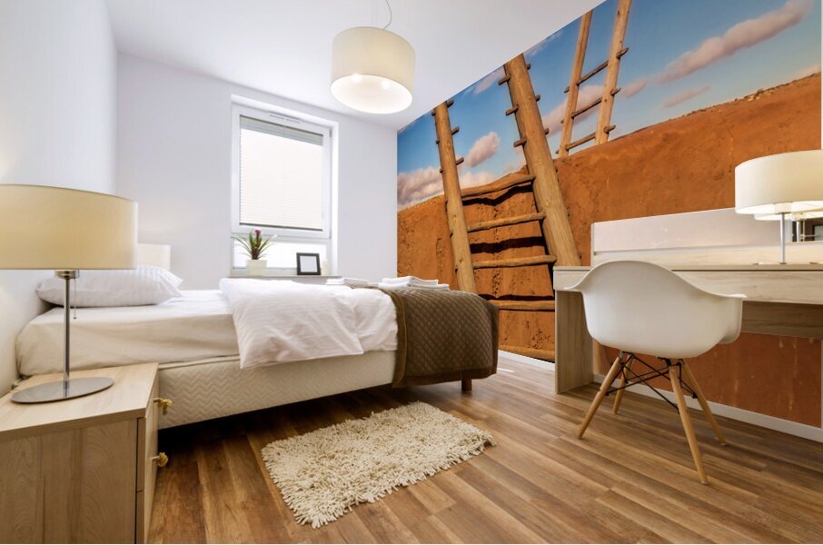Kiva Ladders Mural print