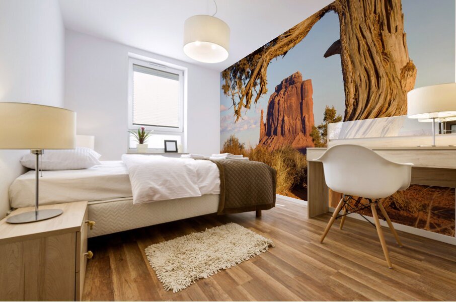 East Mitten View Mural print