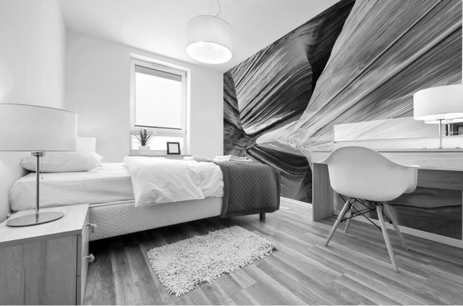 The Wave with Reflection B W Mural print