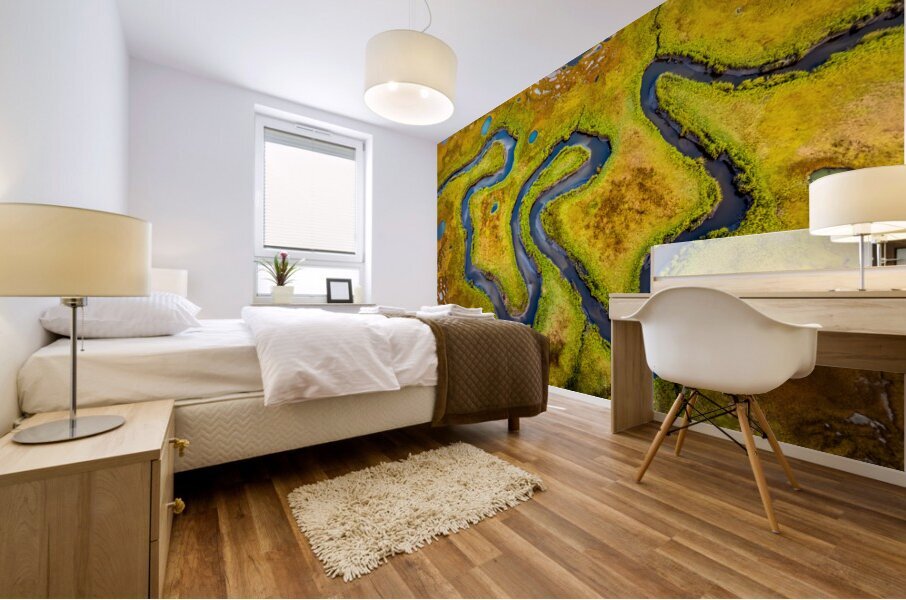 Meandering Stream Mural print